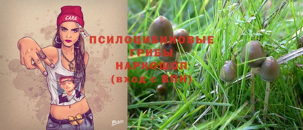 тгк Ельня