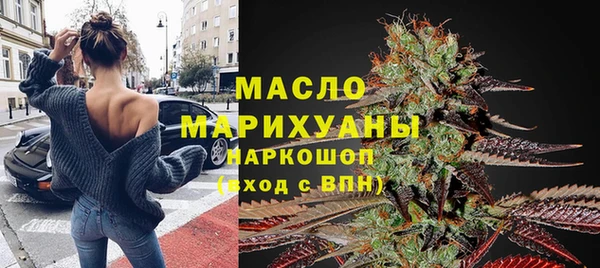 тгк Ельня