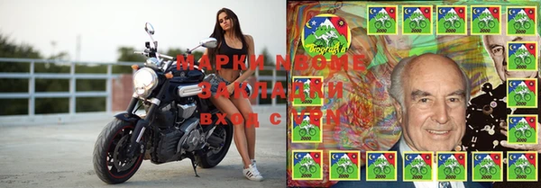 тгк Ельня