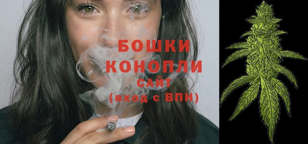 тгк Ельня