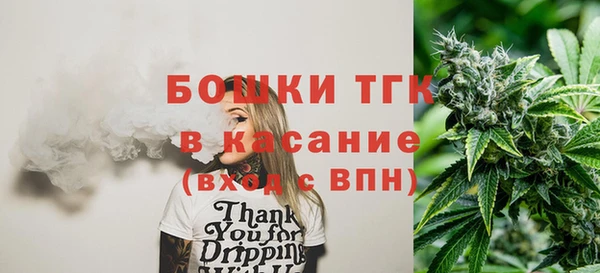 тгк Ельня
