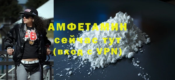 тгк Ельня