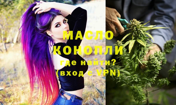 тгк Ельня